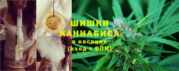 СК Верея