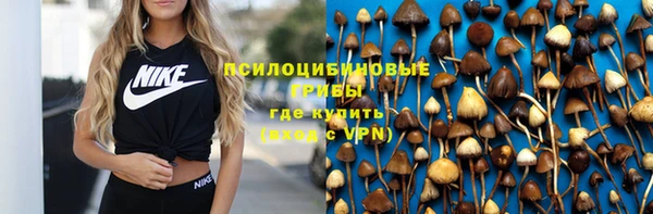 СК Верея