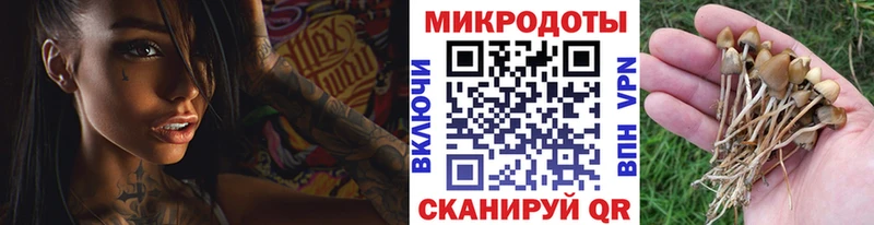 Галлюциногенные грибы MAGIC MUSHROOMS  Ядрин 